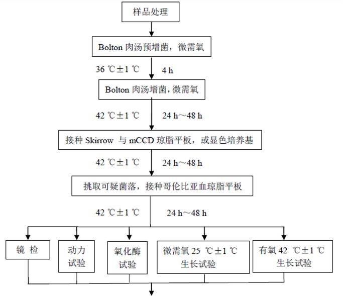 空肠弯曲菌检验程序步骤一