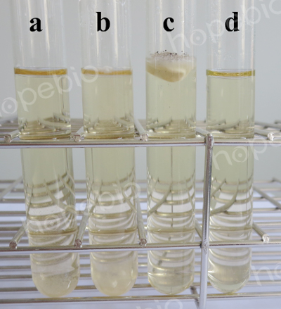 霉菌液体培养基微生物质控结果