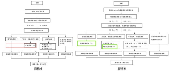 饮用天然矿泉水中铜绿假单胞菌的检验程序