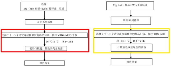 大肠埃希氏菌平板计数法检验程序（左：2012版   右：征求意见稿）