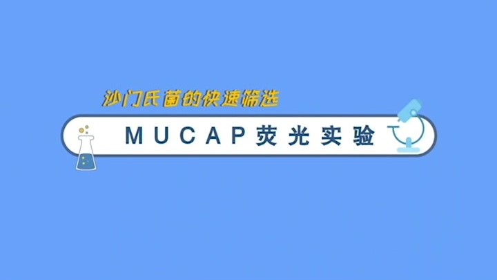 操作视频｜MUCAP实验