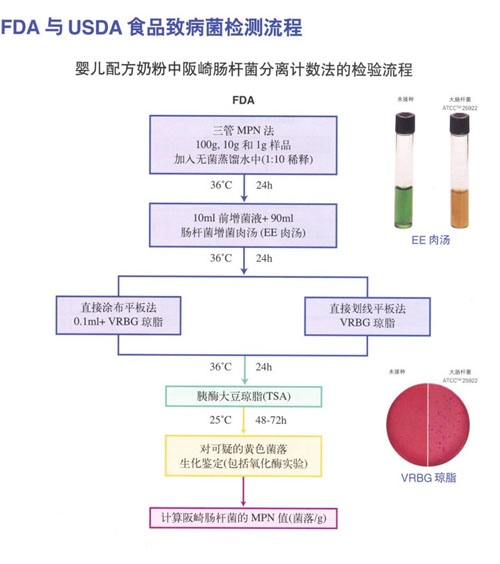 婴儿配方奶粉中阪崎肠杆菌分离计数法的检测流程