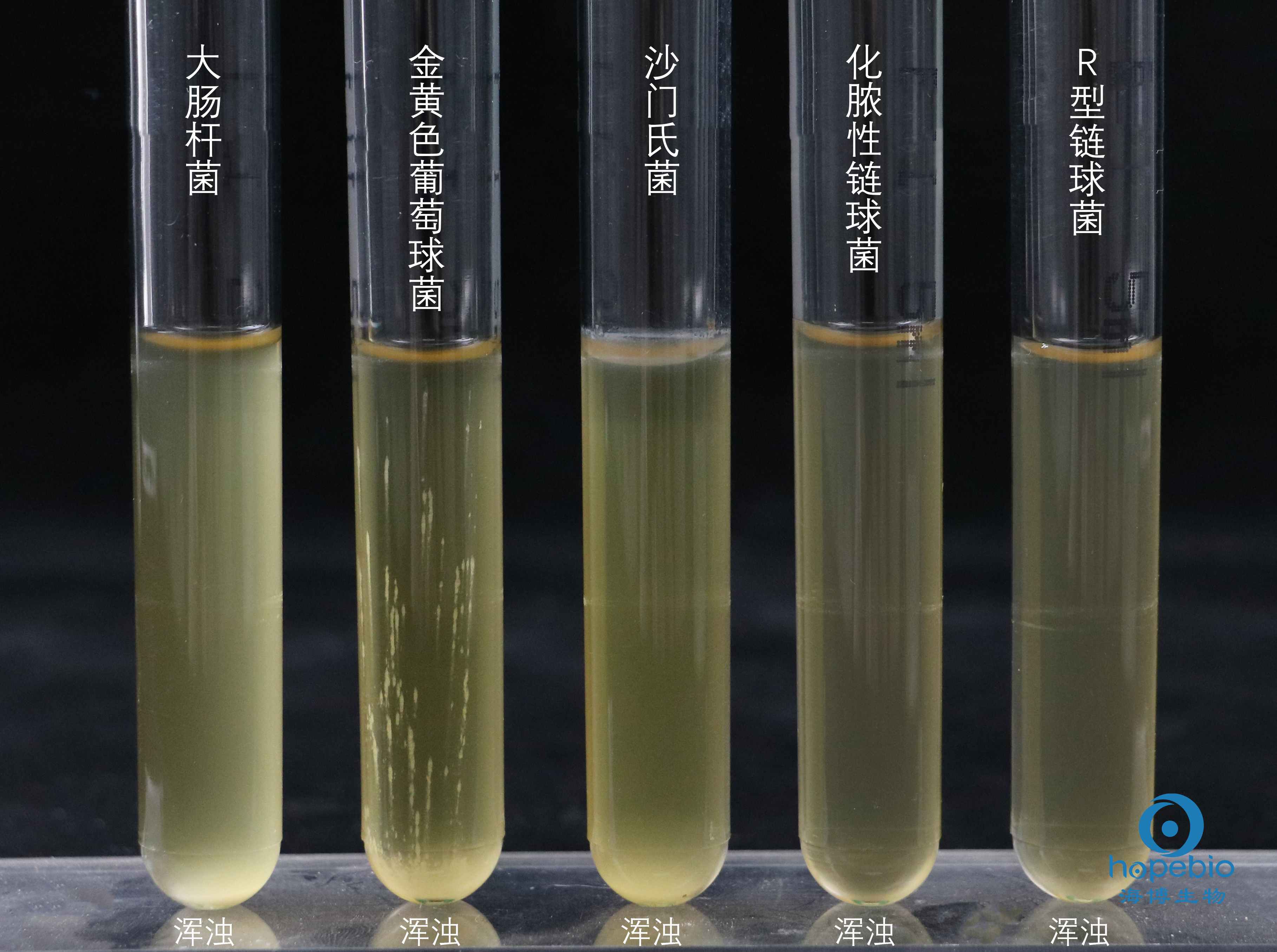 脑心浸出液肉汤（BHI）微生物质控结果