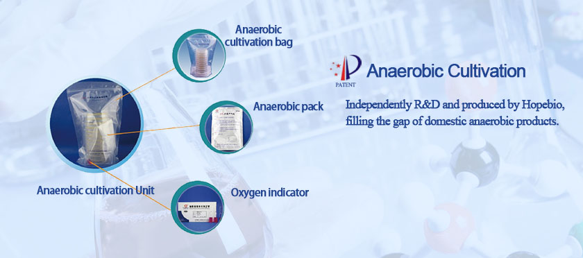 Anaerobic Cultivation